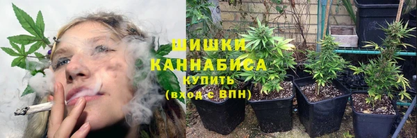 мескалин Михайлов