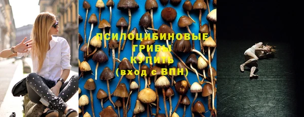 мескалин Михайлов