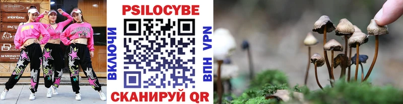 Галлюциногенные грибы Psilocybe  hydra tor  Болотное  купить наркоту 